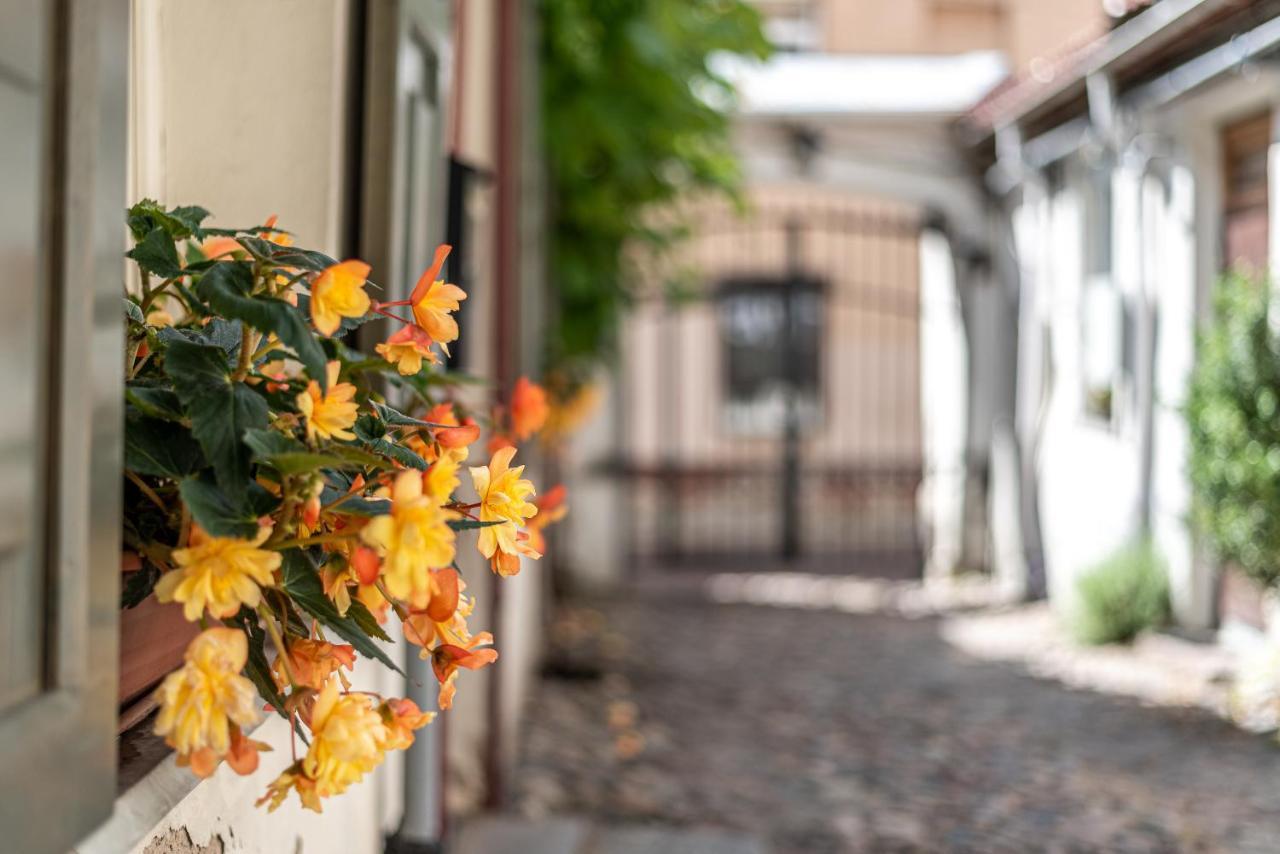 Sun Lighted Cathedral Square Studio Apartment Vilnius Exterior photo