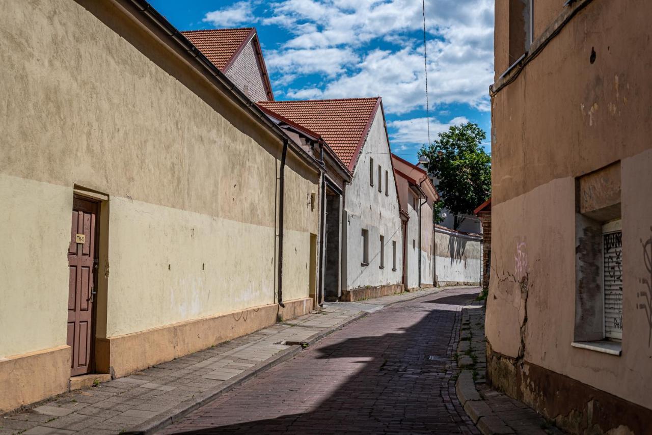 Sun Lighted Cathedral Square Studio Apartment Vilnius Exterior photo